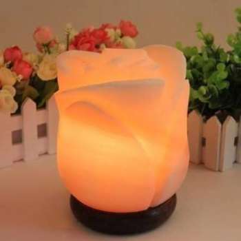 Natural Carved Himalayan Salt Lamp with Wooden Base (2–3kg)